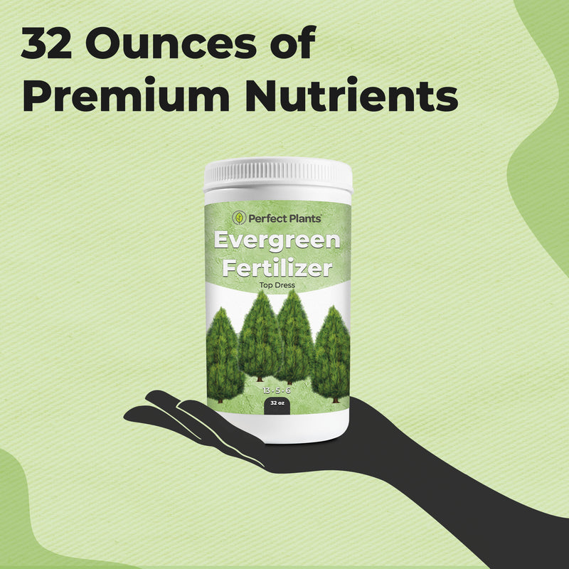 Slow Release Evergreen Fertilizer