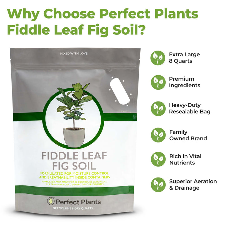 potting soil for fiddle leaf fig tree Fiddle Leaf Fig Soil by Perfect Plants
