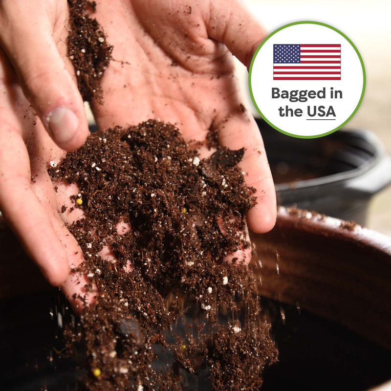 Fiddle Leaf Fig Soil