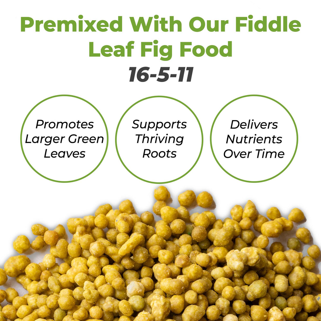 Fiddle Leaf Fig Soil by Perfect Plants - 8 Quart