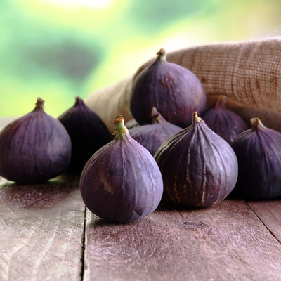 Beer's Black Figs ripe on a wood surface with a burlap sack in the background