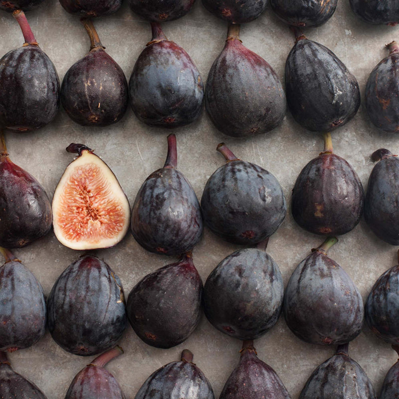 A flat lay of 5 rows of dark Black Mission fig fruit with one fruit halved showing a light pink interior