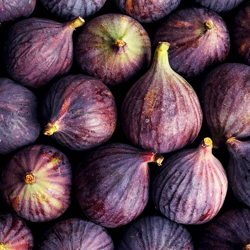 Flat lay close-up of purple LSU figs with a focus on texture and color.