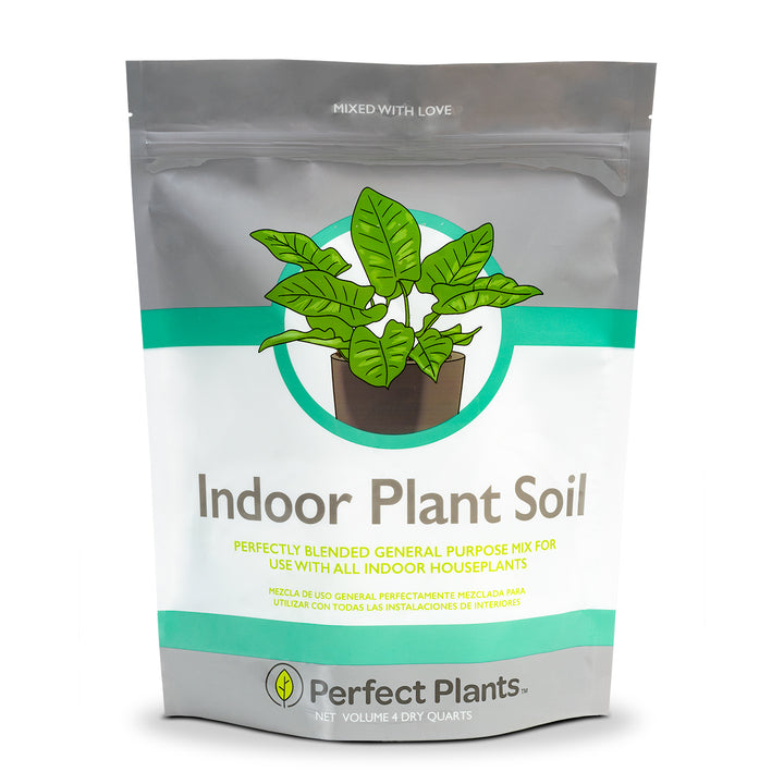 indoor plant potting mix Indoor Plant Soil Mix - 8 quarts