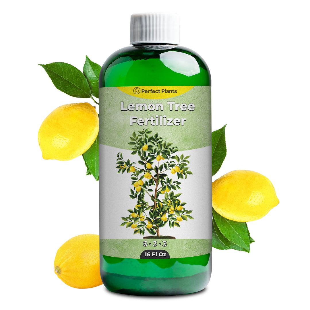 essential oil for plant fertilizer Liquid Lemon Tree Fertilizer - 8 fl oz