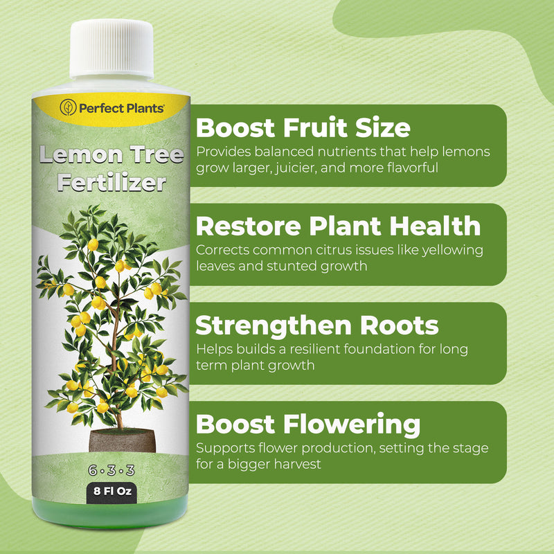 Liquid Lemon Tree Fertilizer