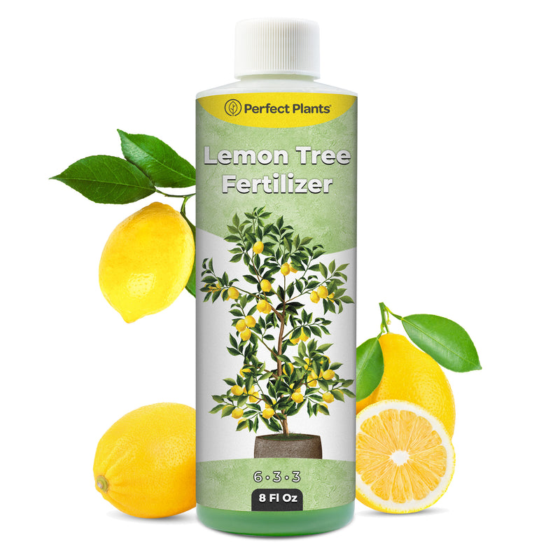 Liquid Lemon Tree Fertilizer