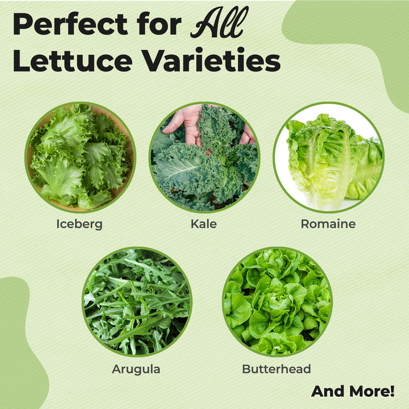 Lettuce Fertilizer