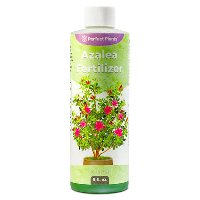 Bottle of azalea fertilizer by Perfect Plants on a white background