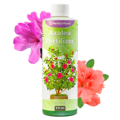 Azalea fertilizer bottle with pink and red flowers on a white background
