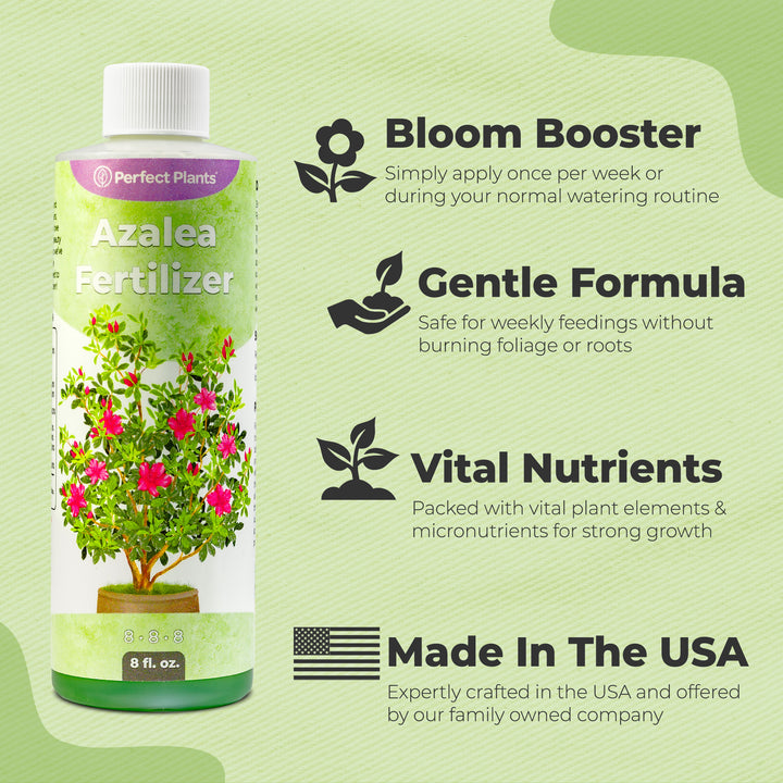 fertilizer for azalea plants Buy Liquid Azalea Fertilizer for Sale Online