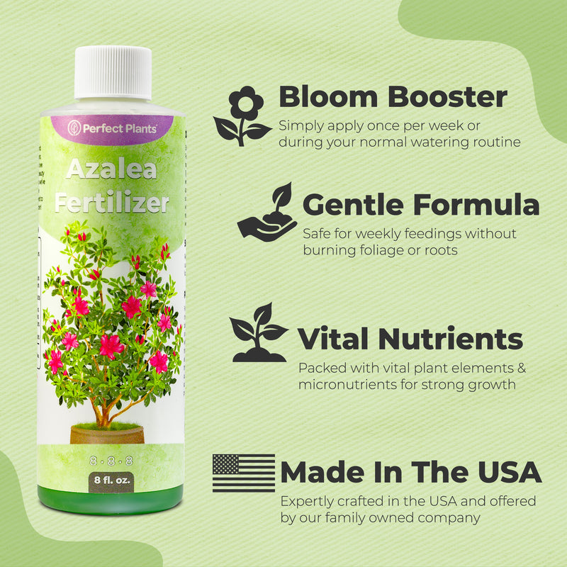 Azalea fertilizer bottle with product details on a green background