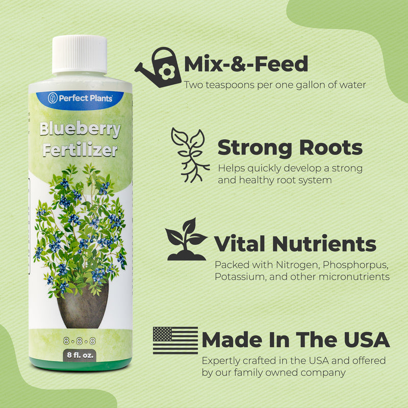 Blueberry fertilizer bottle with product details on a green background