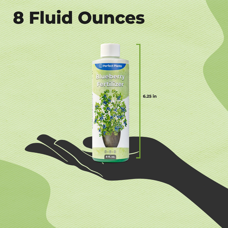 Bottle of blueberry fertilizer with a hand holding it to show size, on a green background.