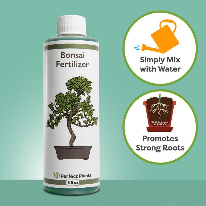 liquid fertilizer for money plant in water Liquid Bonsai Fertilizer - 8 fl oz
