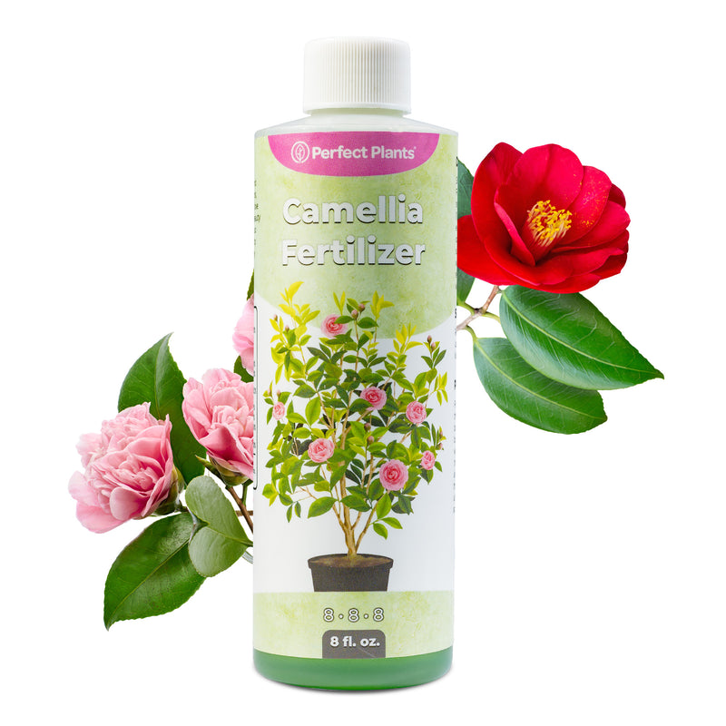 Liquid Camellia Fertilizer
