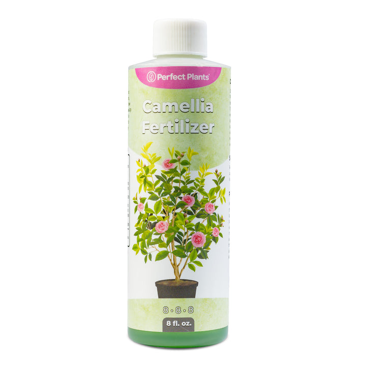 Buy Liquid Camellia Fertilizer for Sale Online
