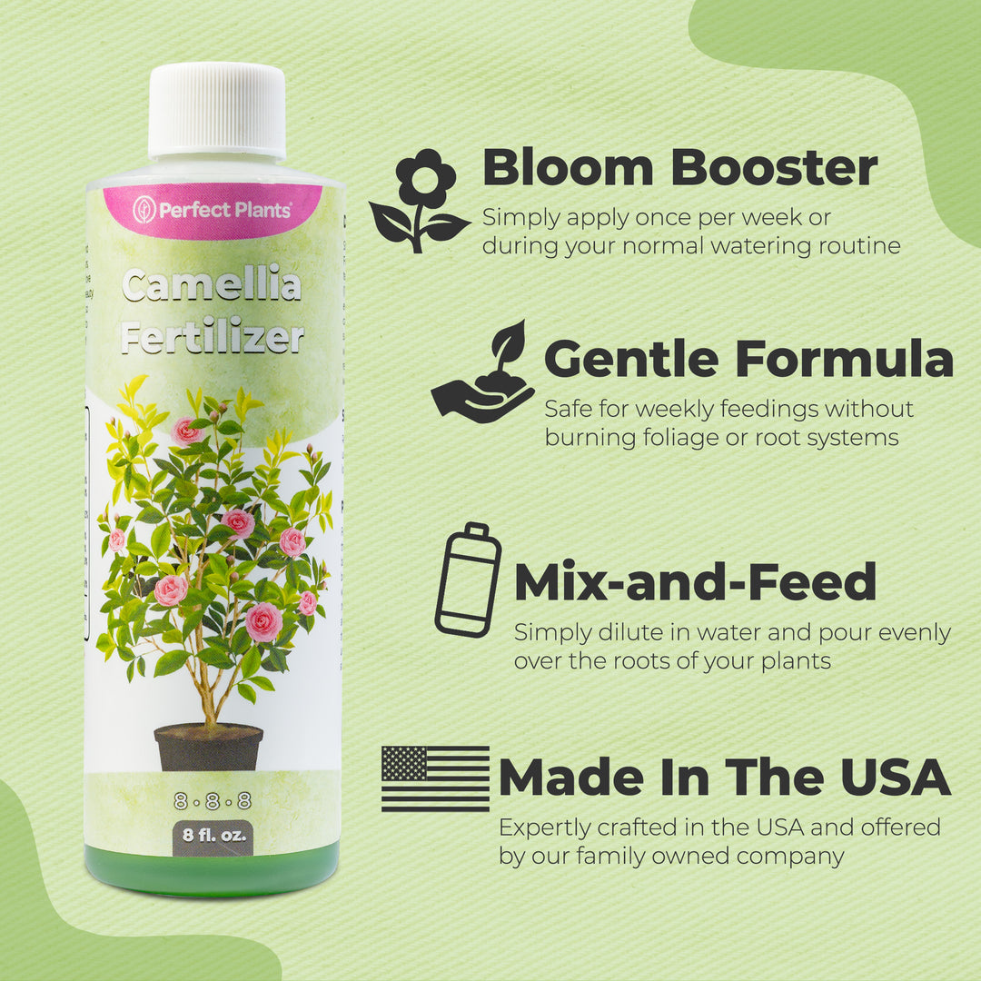 Liquid Camellia Fertilizer - 8 fl oz | Perfect Plants