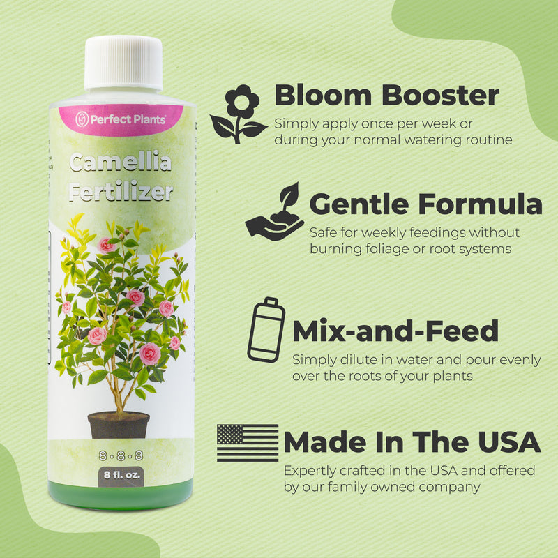 Liquid Camellia Fertilizer