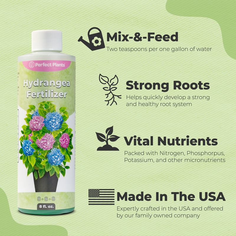 Liquid Hydrangea Fertilizer
