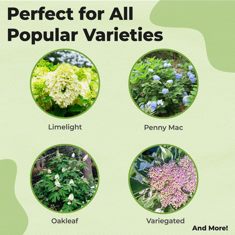 Liquid Hydrangea Fertilizer