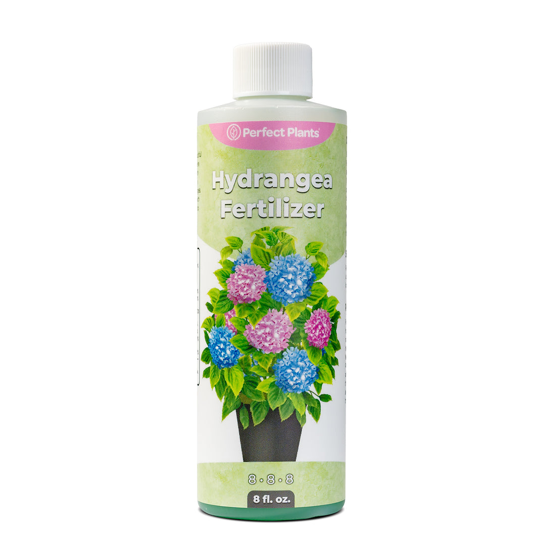 flowering fertilizer for plants Buy Liquid Hydrangea Fertilizer for Sale Online