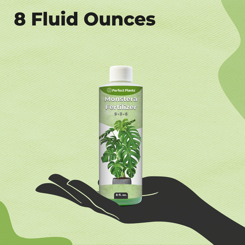 monstera deliciosa fertilizer needs Monstera Fertilizer for Sale