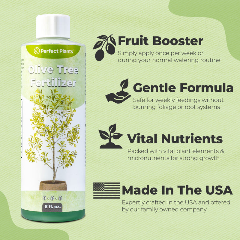 Liquid Fertilizer for Olive Trees