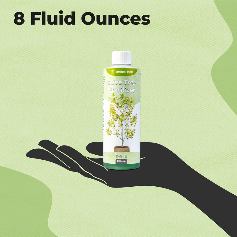 Liquid Fertilizer for Olive Trees