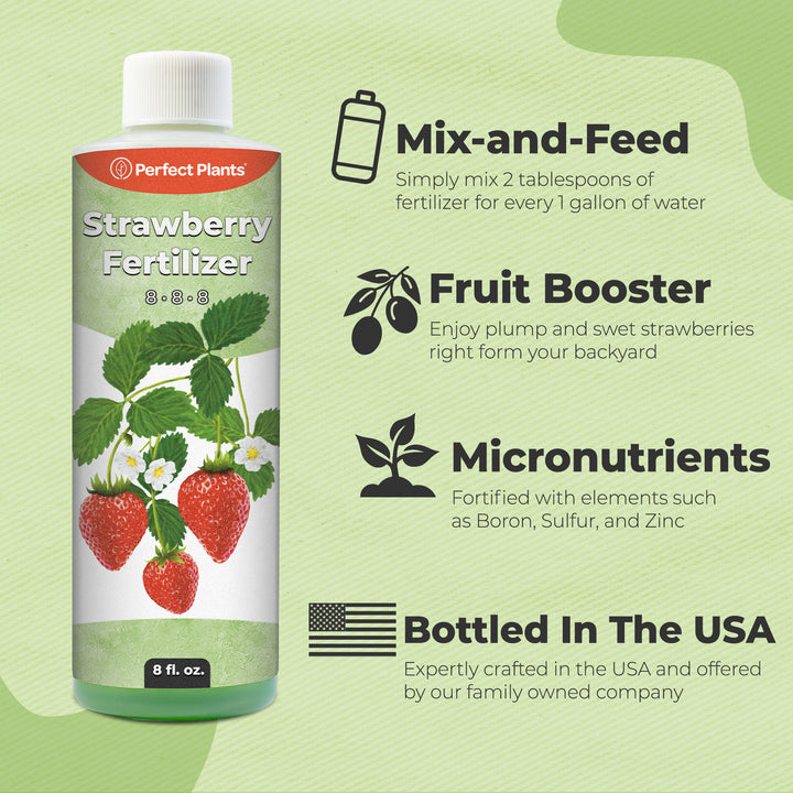 best fertilizer for water plants Strawberry Fertilizer for Sale