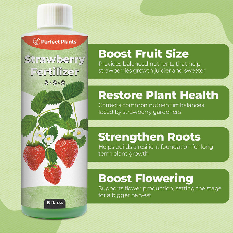 Strawberry Fertilizer
