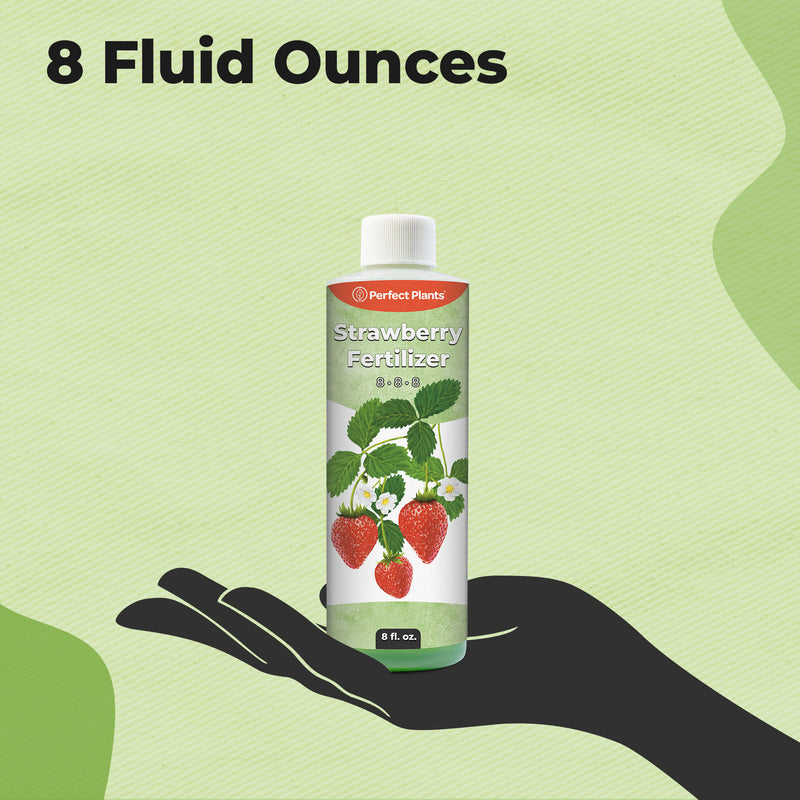 Strawberry Fertilizer for Sale | Perfect Plants