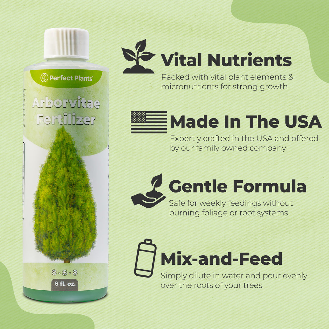 best fertilizer for planting trees Buy Liquid Arborvitae Fertilizer for Sale Online