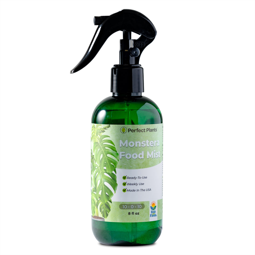 misting monstera deliciosa Buy Monstera Plant Food Mist Online