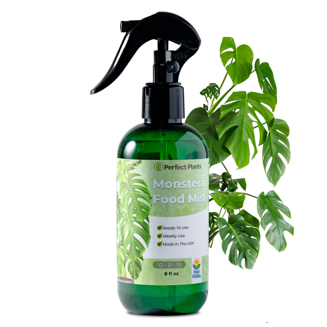 plant food for monstera deliciosa Monstera Plant Food Mist - 8 fl oz