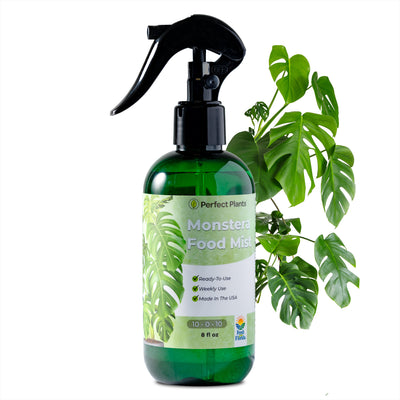 spinach plant fertilizer Buy Spinach Fertilizer Mist for Sale Online