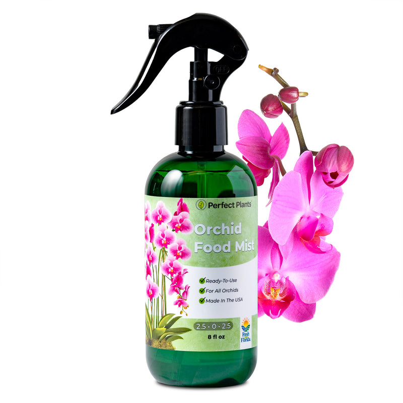 plant prod orchid fertilizer Orchid Food Mist - 8 fl oz
