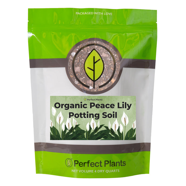Buy Peace Lily Potting Soil for Sale