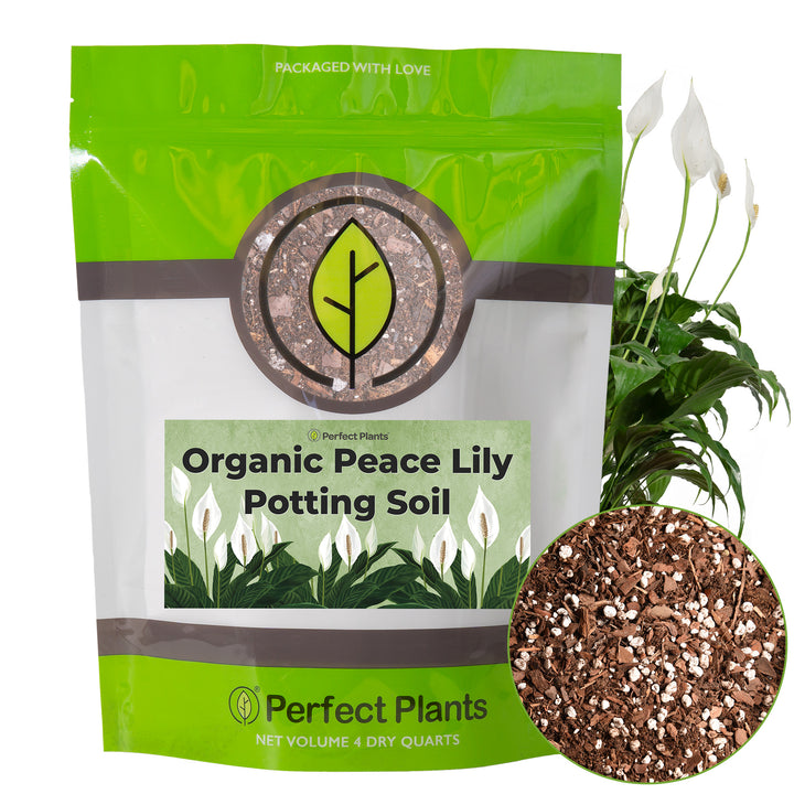 fertilizer for peace lily Peace Lily Potting Soil
