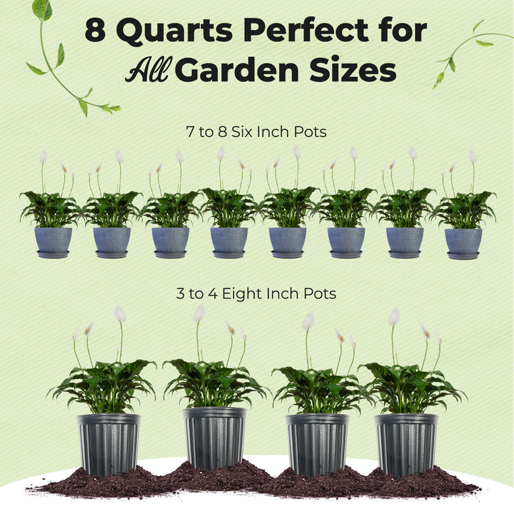 peace lily soil mixture Buy Peace Lily Potting Soil for Sale