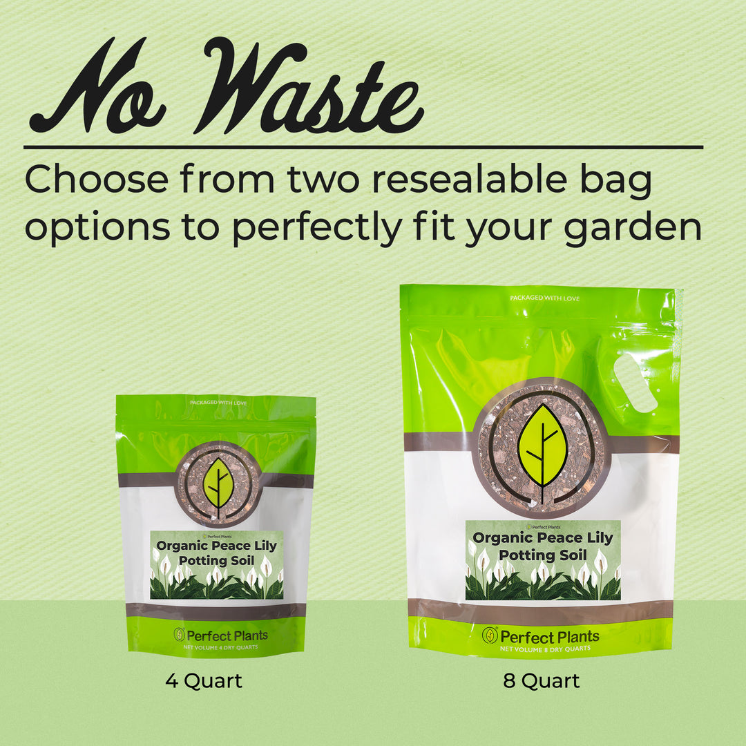 potting soil for peace lily Buy Peace Lily Potting Soil for Sale