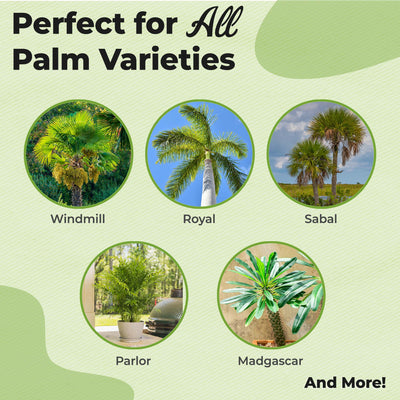 Liquid Palm Tree Fertilizer
