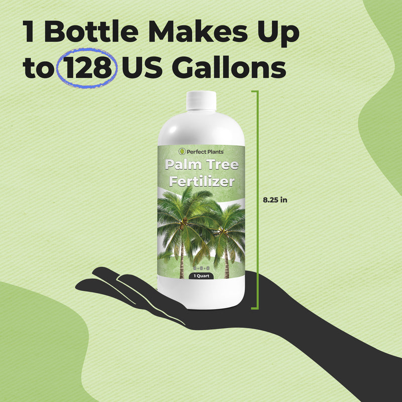Liquid Palm Tree Fertilizer