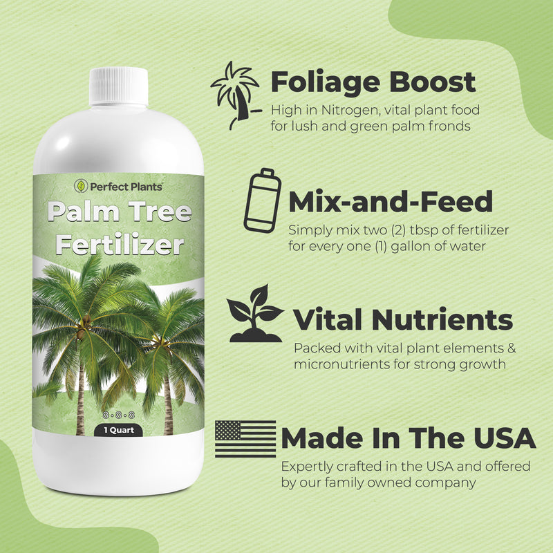 Liquid Palm Tree Fertilizer