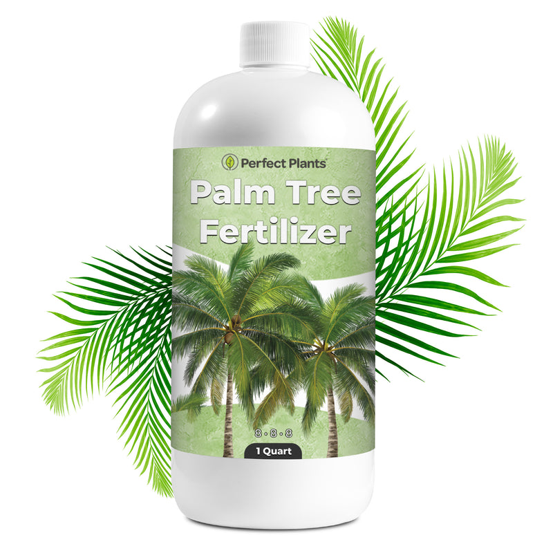 Liquid Palm Tree Fertilizer