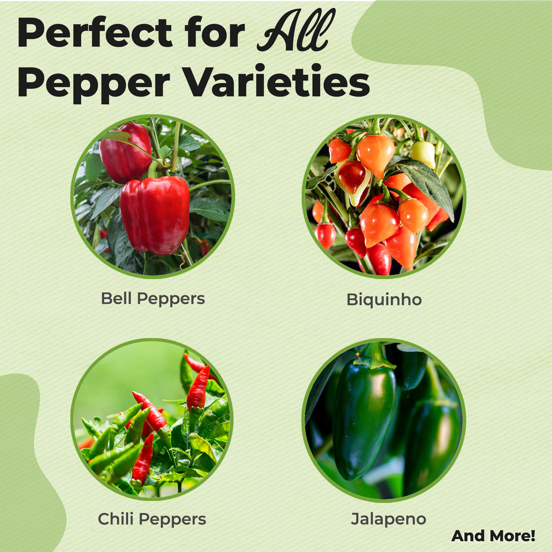 green pepper plant fertilizer Buy Pepper Plant Fertilizer for Sale | Pepper Leaf Mist