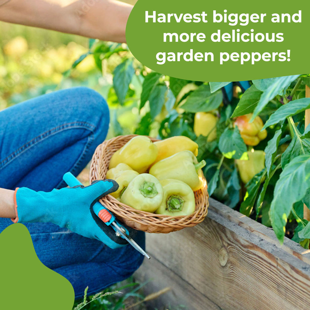 pepper spray for garden plants Buy Pepper Plant Fertilizer for Sale | Pepper Leaf Mist
