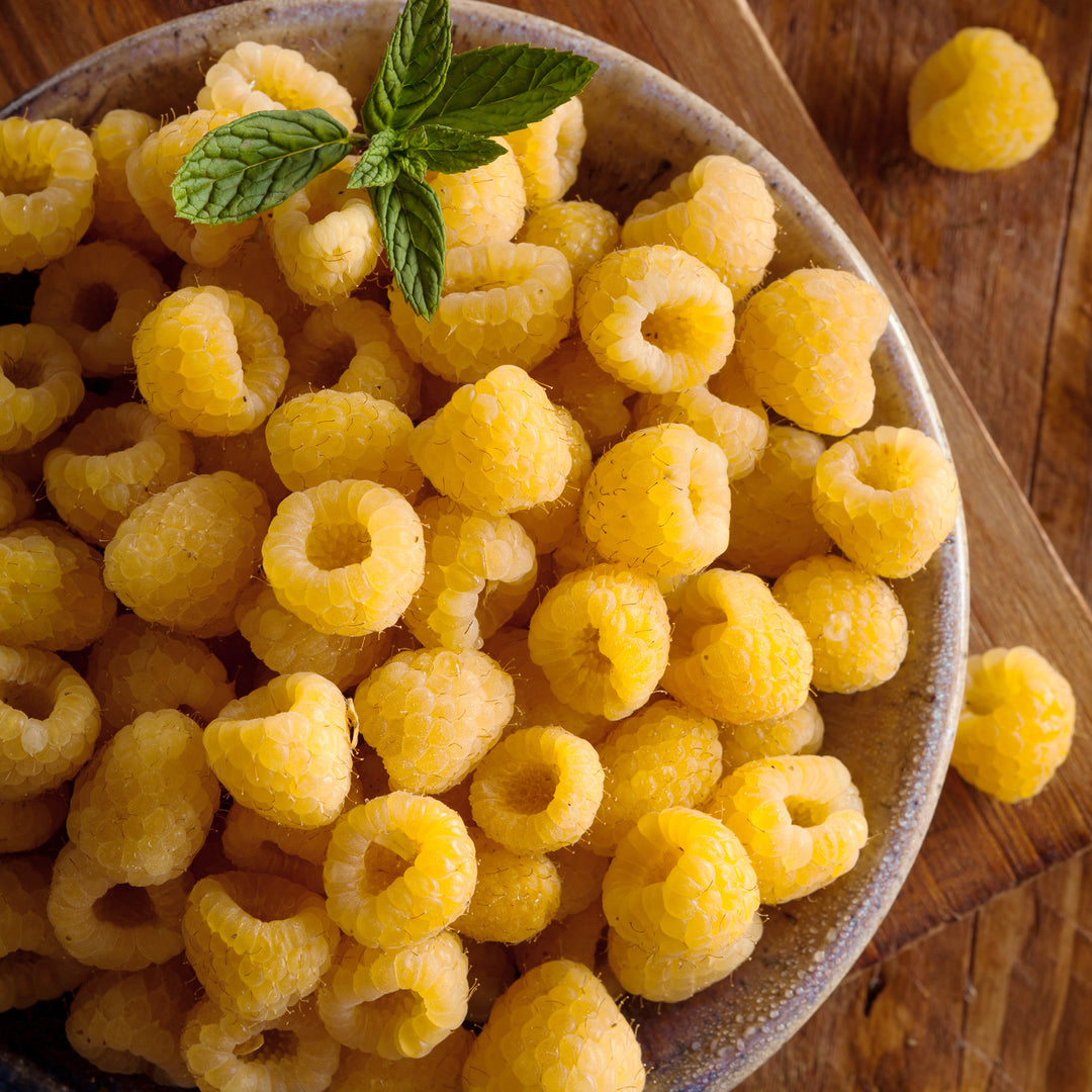 Rubus Fall Gold Raspberry | Behmerwald Nursery - Behmerwald Nursery, image size:1080x1080