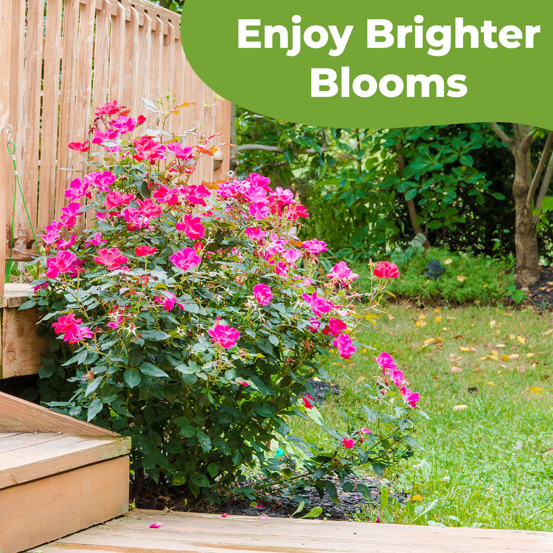 Shop Rose Soil Mix | Buy Soil for Roses
