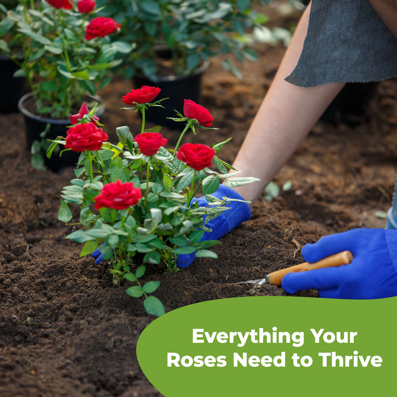 Rose Soil Mix